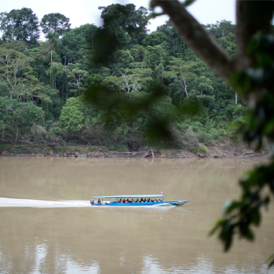 Tour de 3 días a Tambopata